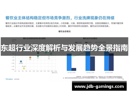 东超行业深度解析与发展趋势全景指南